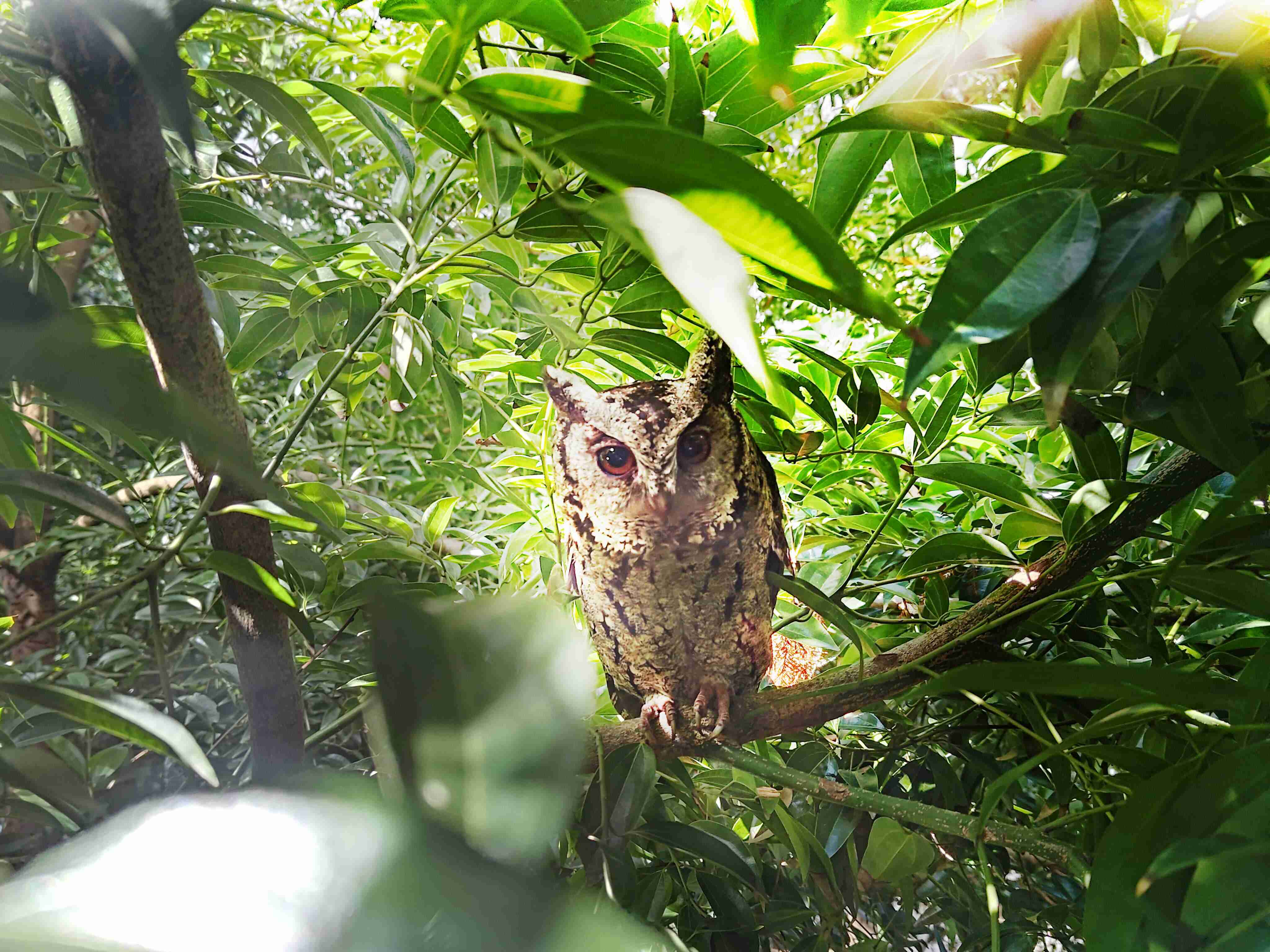 918.COM致力提倡净零绿生活，，16年以来在全球各厂区植树逾百万棵，，，造就各厂区树木蔚然成林，，，犹如森林工厂，，，成为许多生物的栖息地